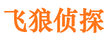 剑阁外遇调查取证